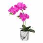 Cyclamen keinotekoinen orkidea 49 cm