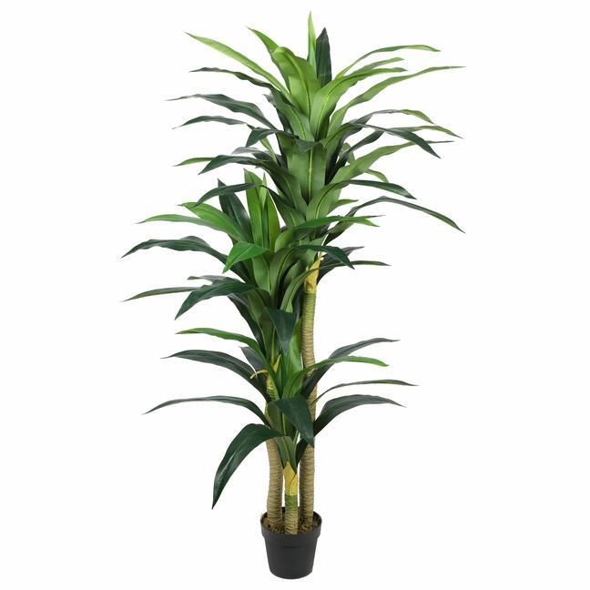 Dracena keinotekoinen puu 180 cm