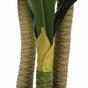 Dracena keinotekoinen puu 180 cm