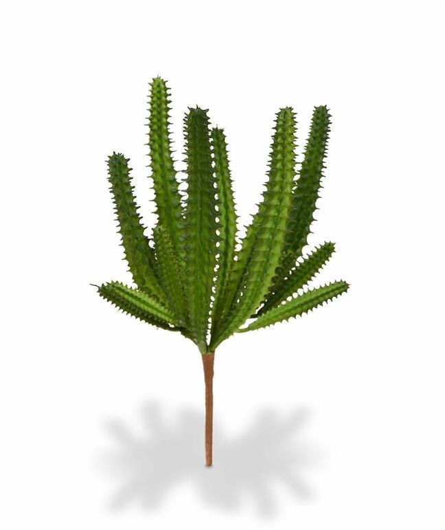 Euphorbia keinotekoinen kaktus 20 cm