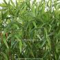 Keinotekoinen aita Bambu 120 cm