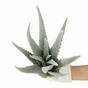 Keinotekoinen aloe -kasvi 45 cm