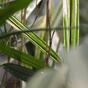 Keinotekoinen bambukasvi 70 cm