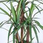 Keinotekoinen Dracena -kasvi, vuorattu 140 cm