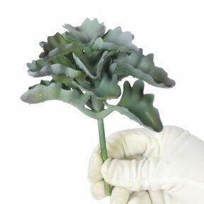 Keinotekoinen Echeveria -krinoliinirunko 11,5 cm