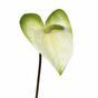 Keinotekoinen haara Anthurium valkoinen-vihreä 55 cm