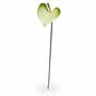 Keinotekoinen haara Anthurium vihreä-valkoinen 50 cm