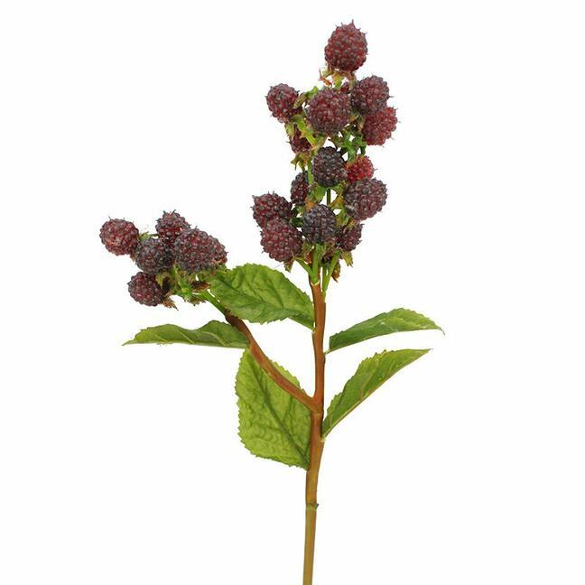 Keinotekoinen haara Blackberry 45 cm