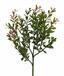 Keinotekoinen haara Buxus 45 cm