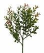 Keinotekoinen haara Buxus 45 cm