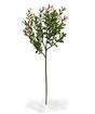 Keinotekoinen haara Buxus 45 cm
