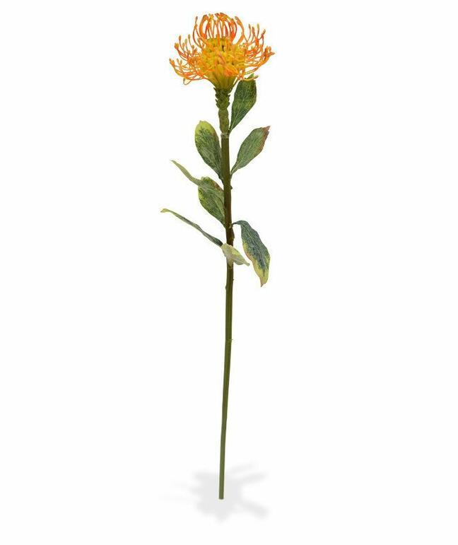 Keinotekoinen haara Leucadendron oranssi 60 cm