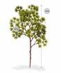 Keinotekoinen haara Mänty 35 cm