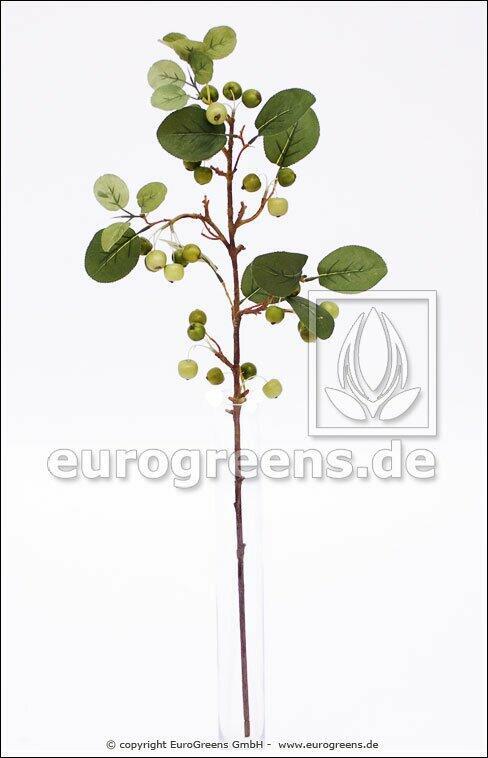 Keinotekoinen haara Omenapuu 80 cm