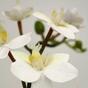 Keinotekoinen haara orkidea valkoinen 60 cm