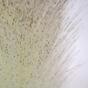 Keinotekoinen haara Perovec psiarkovitý kerma 80 cm
