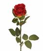 Keinotekoinen haara Punainen ruusu 74 cm