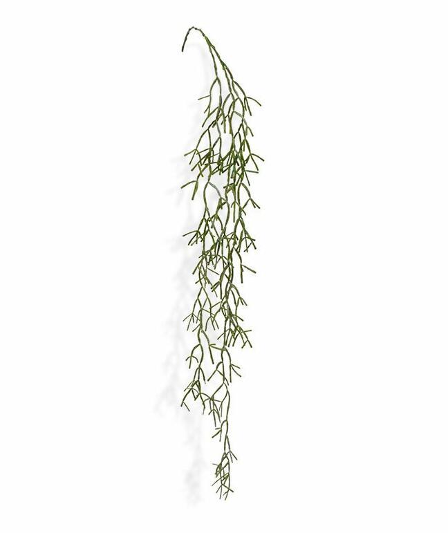 Keinotekoinen jänne Rhipsalis trigona 100 cm