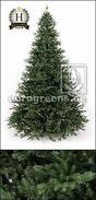 Keinotekoinen joulukuusi Fir Nobilis Oxburgh 210 cm