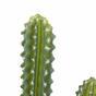 Keinotekoinen kaktus 69 cm