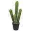Keinotekoinen kaktus 52 cm
