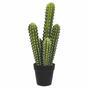 Keinotekoinen kaktus 52 cm