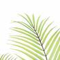 Keinotekoinen kämmen Areca 120 cm