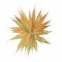 Keinotekoinen kasvi Agave oranssi 18 cm