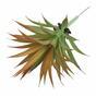 Keinotekoinen kasvi Agave oranssi 18 cm