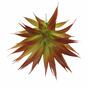 Keinotekoinen kasvi Agave punainen 18 cm