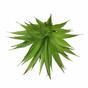Keinotekoinen kasvi Agave vihreä 18 cm