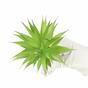Keinotekoinen kasvi Agave vihreä 18 cm