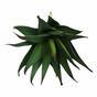 Keinotekoinen kasvi Aloe 13,5 cm