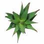 Keinotekoinen kasvi Aloe 13,5 cm