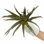 Keinotekoinen kasvi Aloe 27 cm