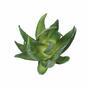 Keinotekoinen kasvi Aloe Vera 15 cm