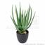 Keinotekoinen kasvi Aloe Vera 45 cm