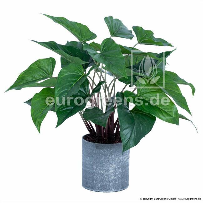 Keinotekoinen kasvi Anthurium 45 cm