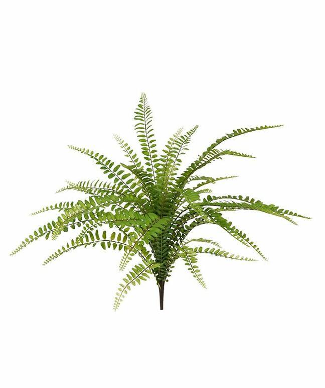 Keinotekoinen kasvi Asplenium nidus 45 cm