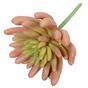 Keinotekoinen kasvi Echeveria pinkki 11 cm