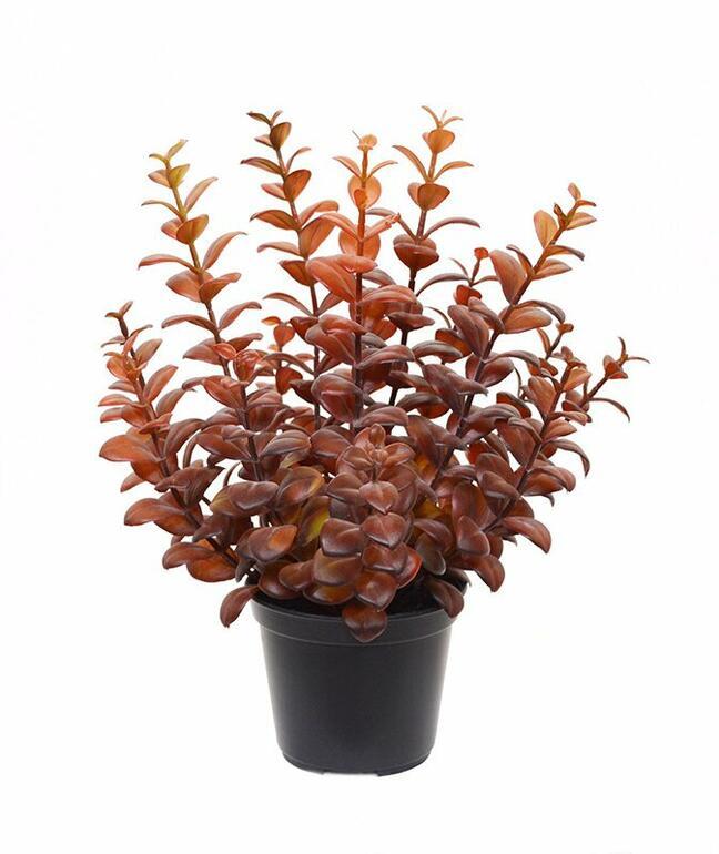 Keinotekoinen kasvi Eukalyptus viininpunainen-punainen 30 cm