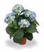 Keinotekoinen kasvi Hydrangea blue 45 cm