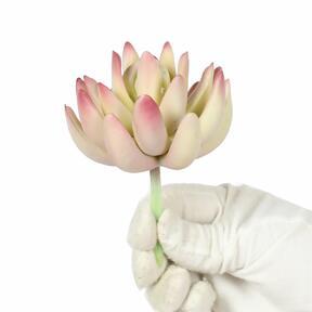 Keinotekoinen kasvi Lotus Echeveria 10 cm