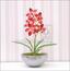 Keinotekoinen kasvi Orchidea Cymbidium viininpunainen 50 cm