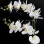 Keinotekoinen kasvi Orkidea valkoinen 65 cm