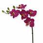 Keinotekoinen kasvi Orkidea violetti 50 cm