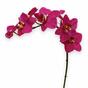 Keinotekoinen kasvi Orkidea violetti 80 cm