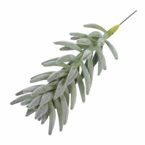 Keinotekoinen kasvi Senecio haworthii 21 cm