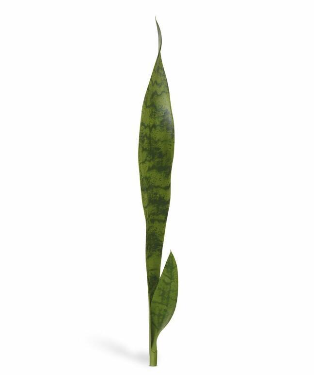 Keinotekoinen kasvi Svokrine -kielet 60 cm