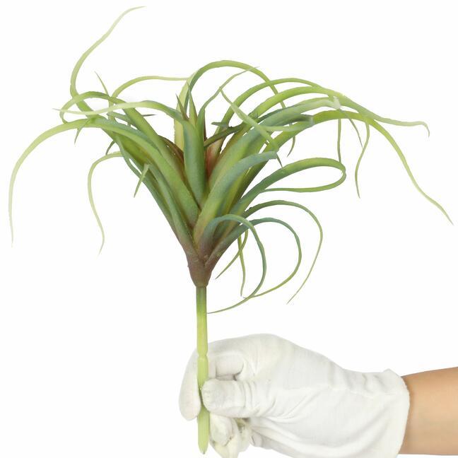 Keinotekoinen kasvi Tillandsia 15 cm